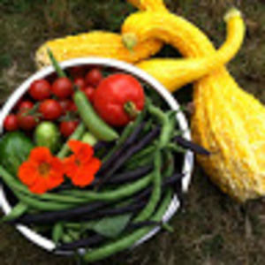 Meet your Posher, Kristen